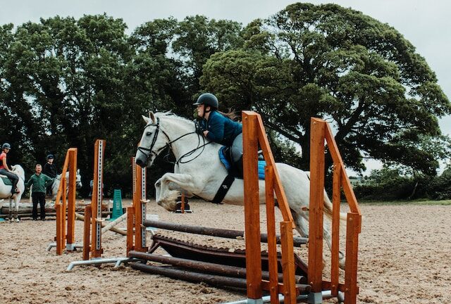 10 Easy and Fun Horse Jumps for Kids